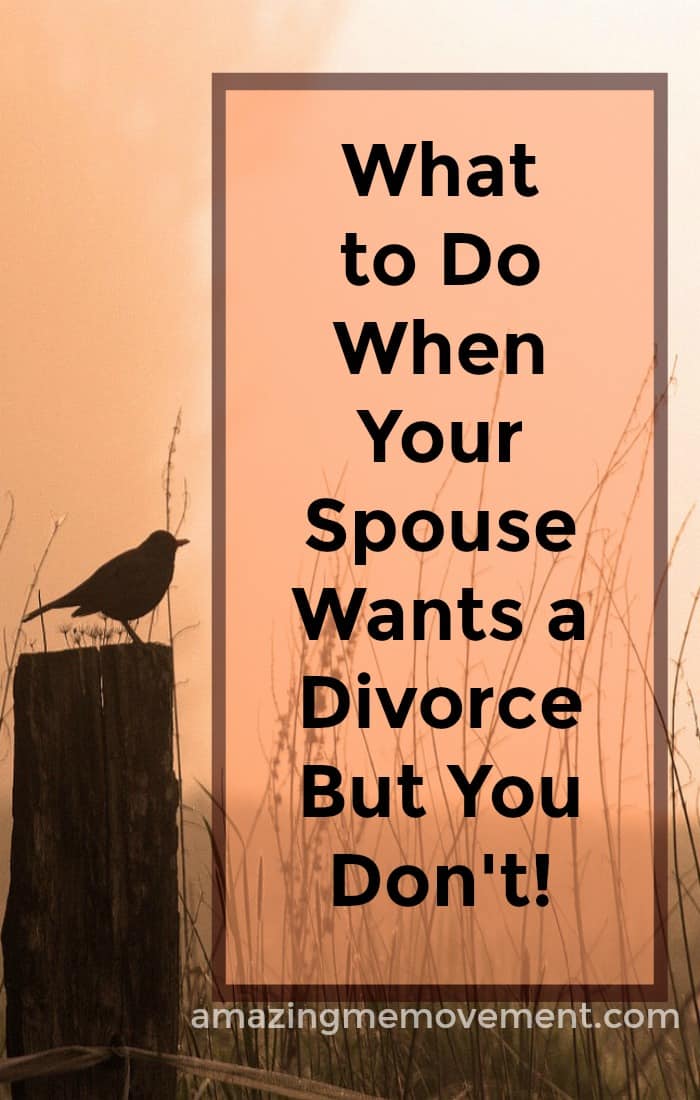 What to do when your spouse wants a divorce but you don't. It surely is a difficult time. This blog will help! #divorce #grief #howtobehappy #lifechanging #howtoletgo #movingon #relationships #inspirationalblogs #lifelessons