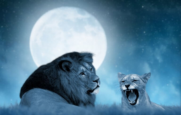 New Beginnings and Abrupt Endings-The Leo New Moon in August.