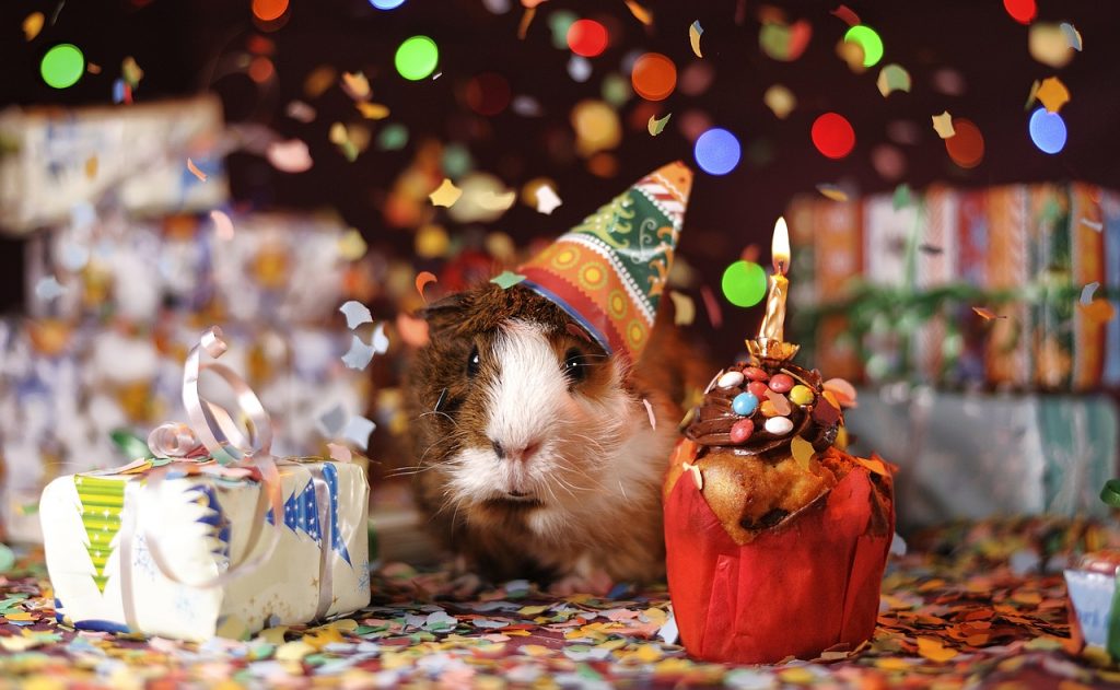 dont' hate your birthday, here's why you should love your birthday