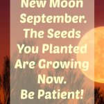 the new moon is all about patience, you will reap what you sow, your harvest is coming now, the energies are great for manifesting and rewards