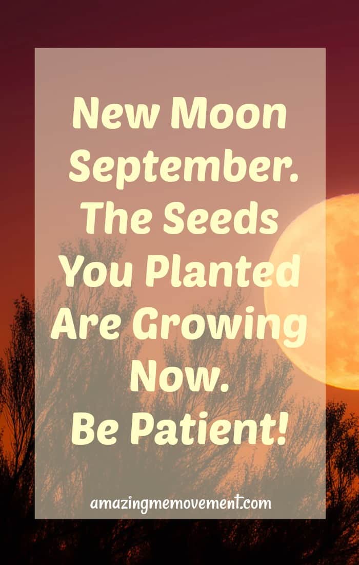 You know all those seeds you've been planting all year? It's time. Fall harvest. You've been patient and now you will reap your rewards. Learn more about the Virgo new moon here. #newmoonenergies #reapwhatyousow #harvesttime #plantingseeds #patience #helpingothers #beofservice #manifesting #abundance #intenseenergy #havefaith #goodthingsarecoming #inspirationalblogstofollow