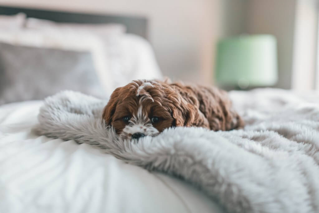 how to beat loneliness after divorce, dealing with loneliness after divorce