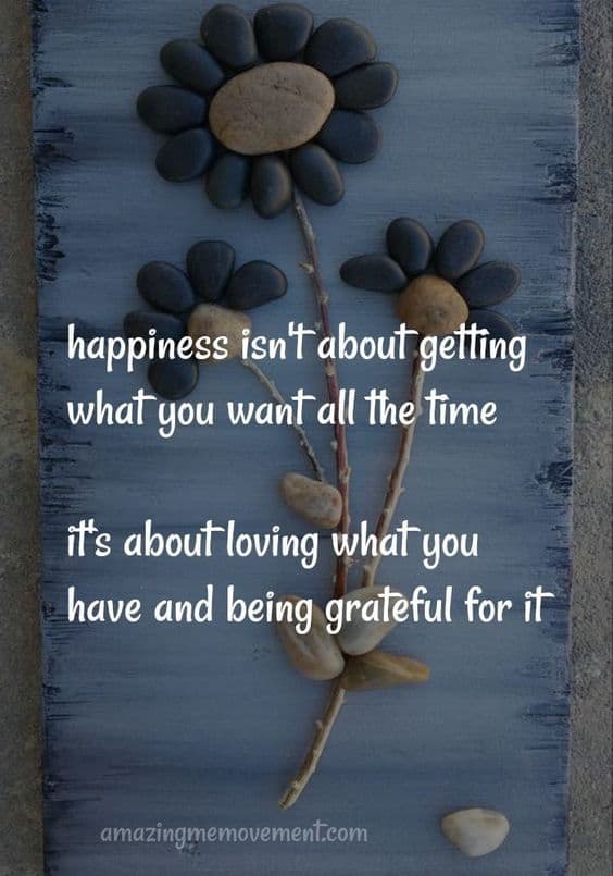 happiness quote