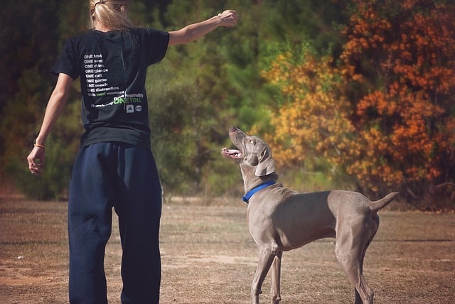 lady playing with dog-living a healthy lifestyle