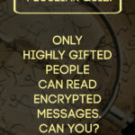 Only highly gifted people can read encrypted messages. Can you?