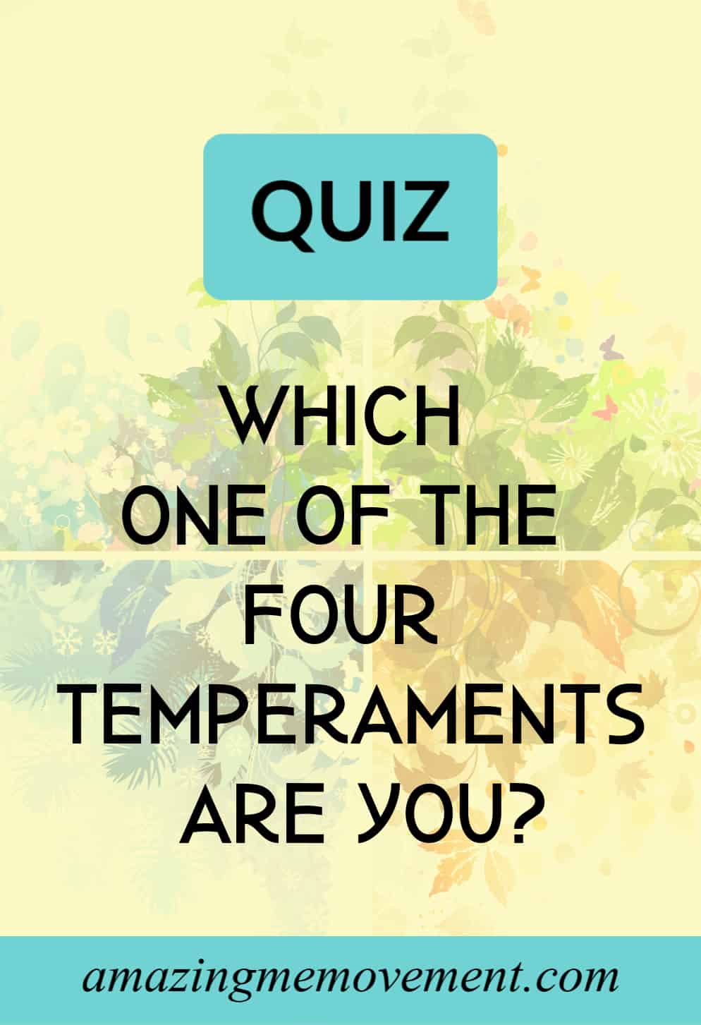 Which One Of The Four Temperaments Do You Belong In?