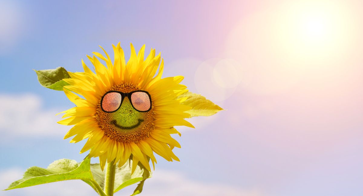 smilin;g sunflower with glasses-happy life quotes and sayings