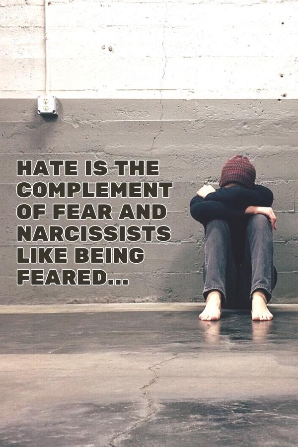 hate is the complement of fear and narcissists like being feared