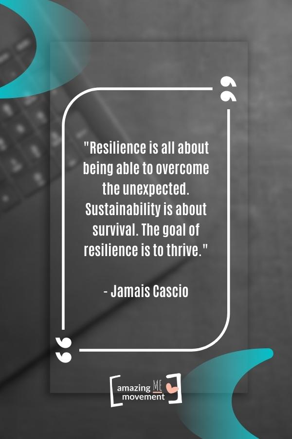 Resilience is all about being able to overcome the unexpected.