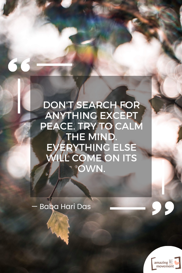 Don't search for anything except peace.