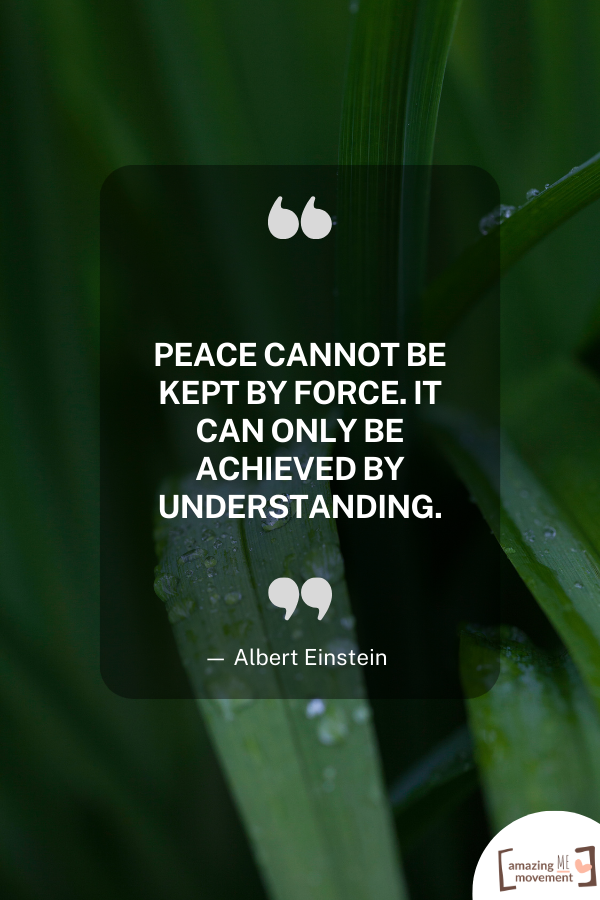 Peace cannot be kept by force.