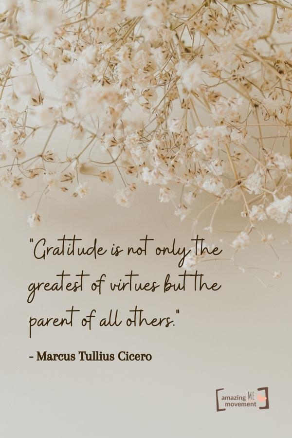 25+ Inspirational Quotes About Gratitude to Transform Your Life