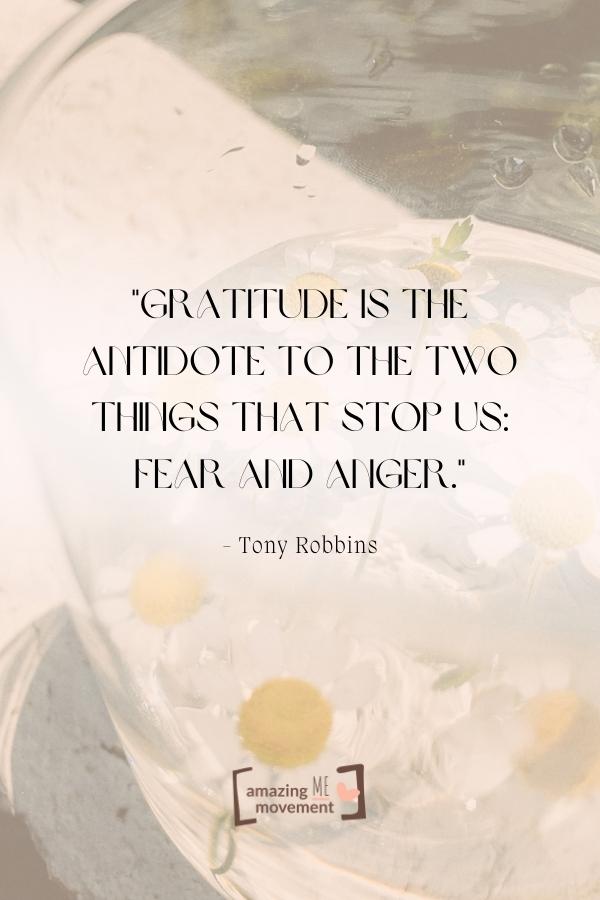 25+ Inspirational Quotes About Gratitude to Transform Your Life