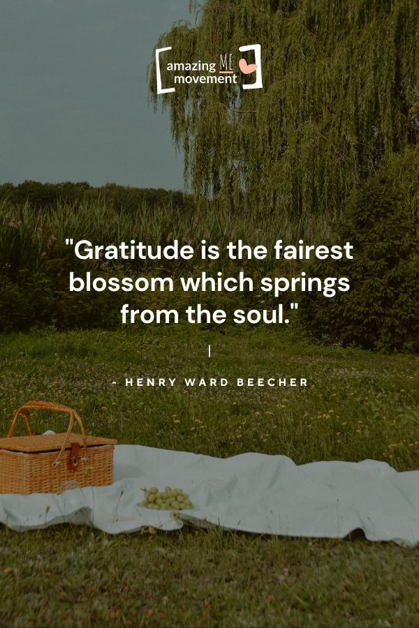 25+ Inspirational Quotes About Gratitude to Transform Your Life