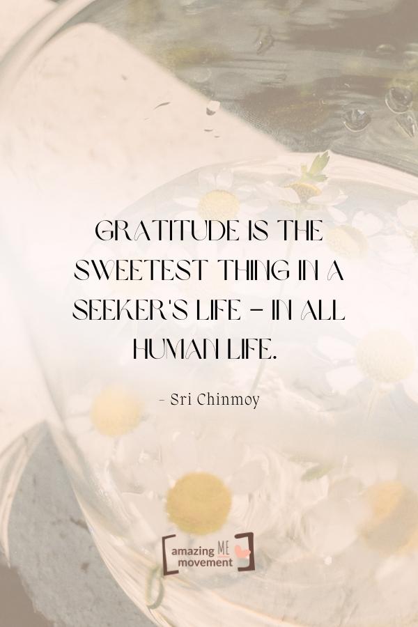 25+ Inspirational Quotes About Gratitude to Transform Your Life