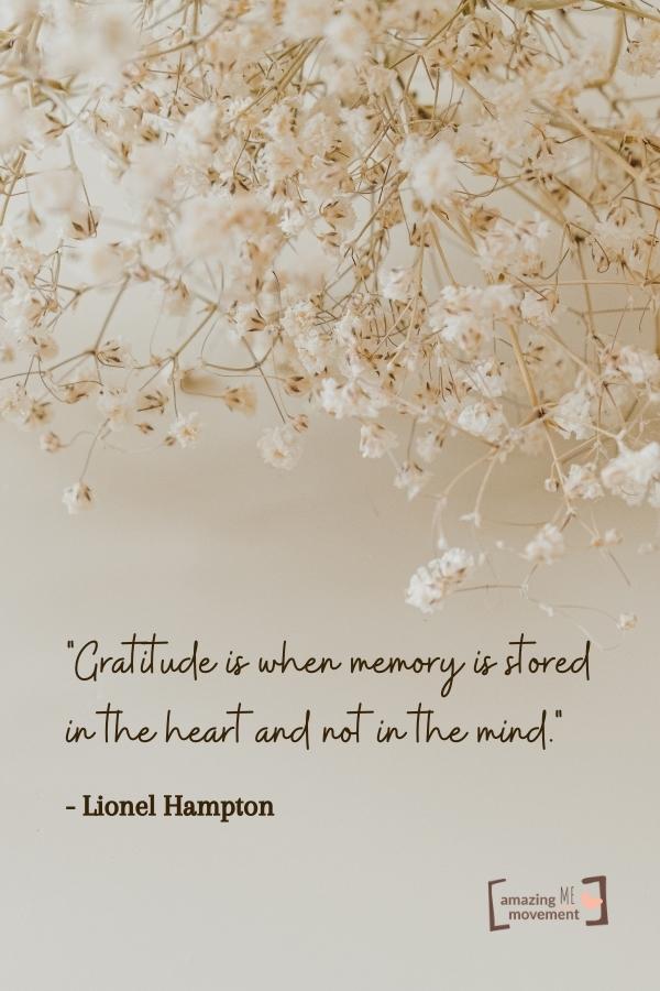 25+ Inspirational Quotes About Gratitude to Transform Your Life