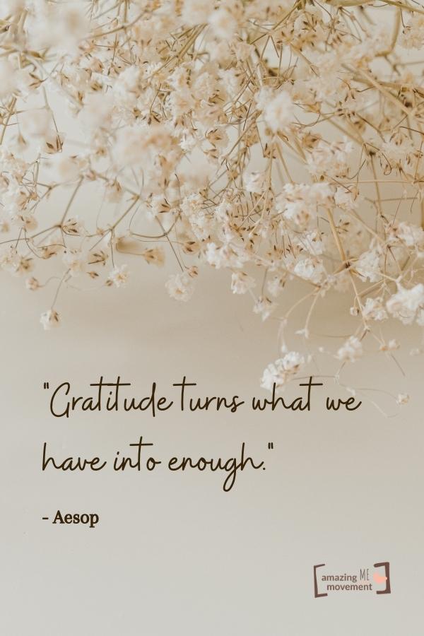 25+ Inspirational Quotes About Gratitude to Transform Your Life