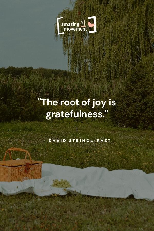 25+ Inspirational Quotes About Gratitude to Transform Your Life