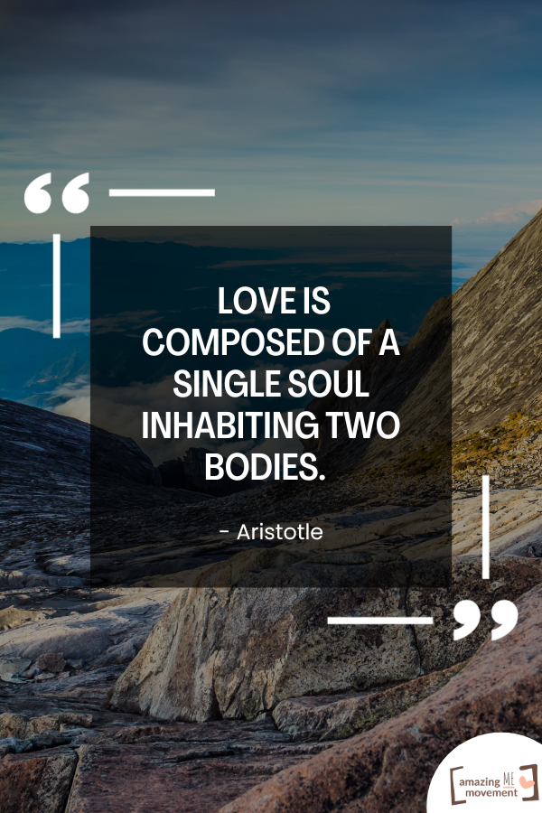 A love quote by Aristotle