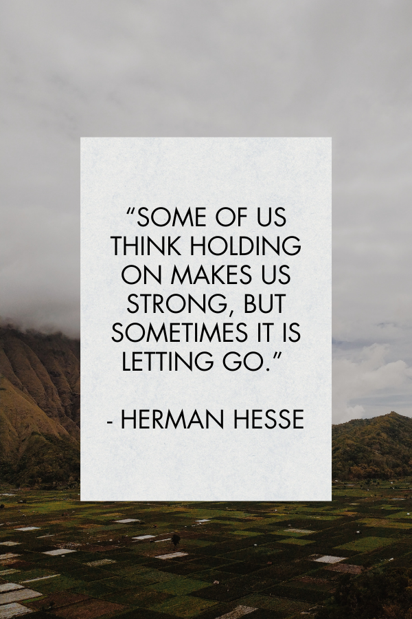 A letting go quote by Herman Hesse
