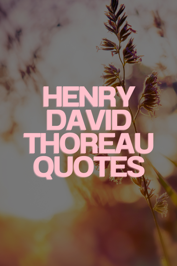 A banner on Henry David Thoreau Quotes