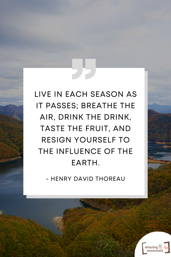 A statement by Henry David Thoreau