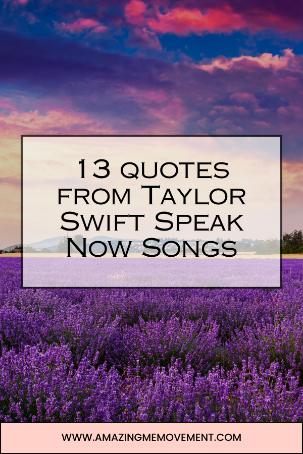 A poster for Taylor Swift Speak Now songs