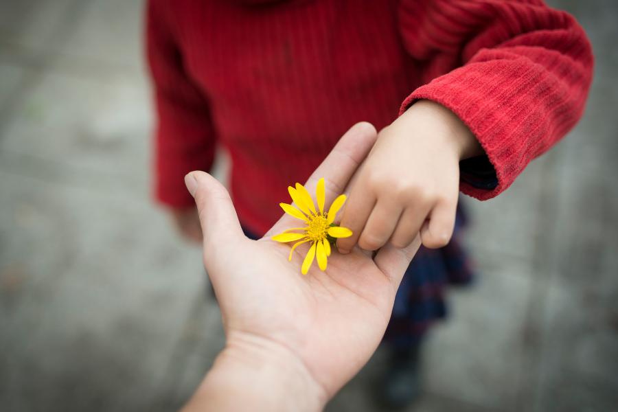A child giving a person a beautiful flower #Gratitude #Meditation #Gratefulness