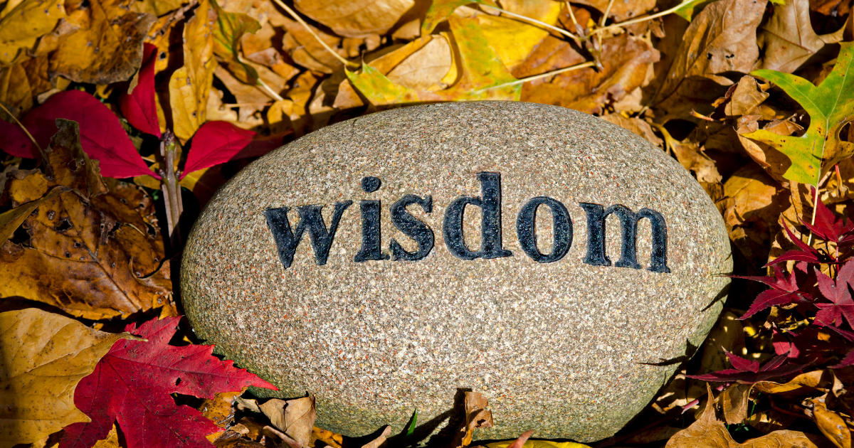 A rock with "wisdom" written on it #WisdomQuotes #Clarity #Enlightenment