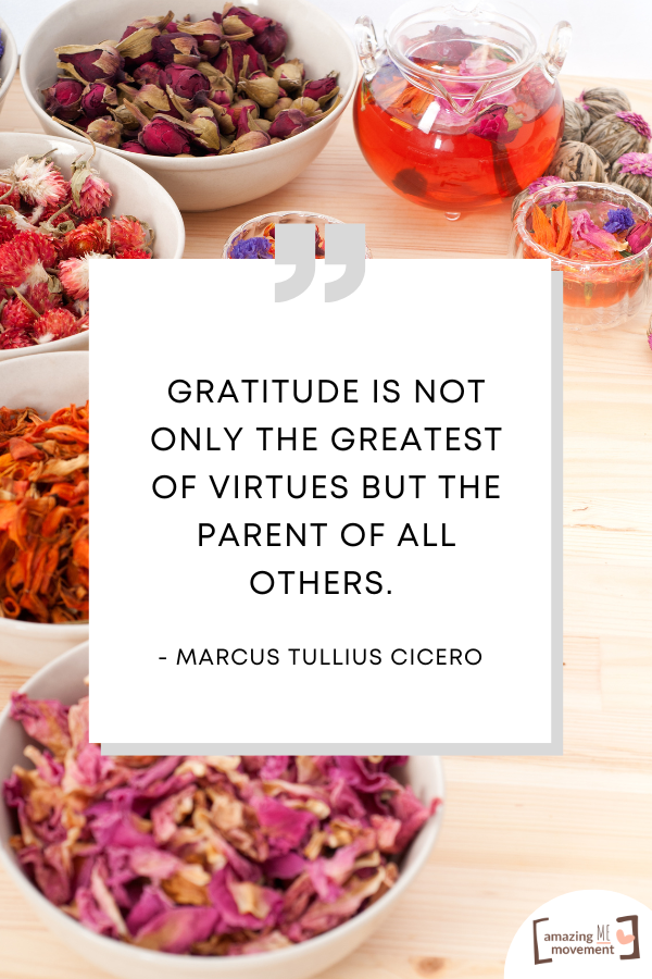 A gratitude quote for abundant living #GratitudeQuotes #Grateful #AbundantLiving