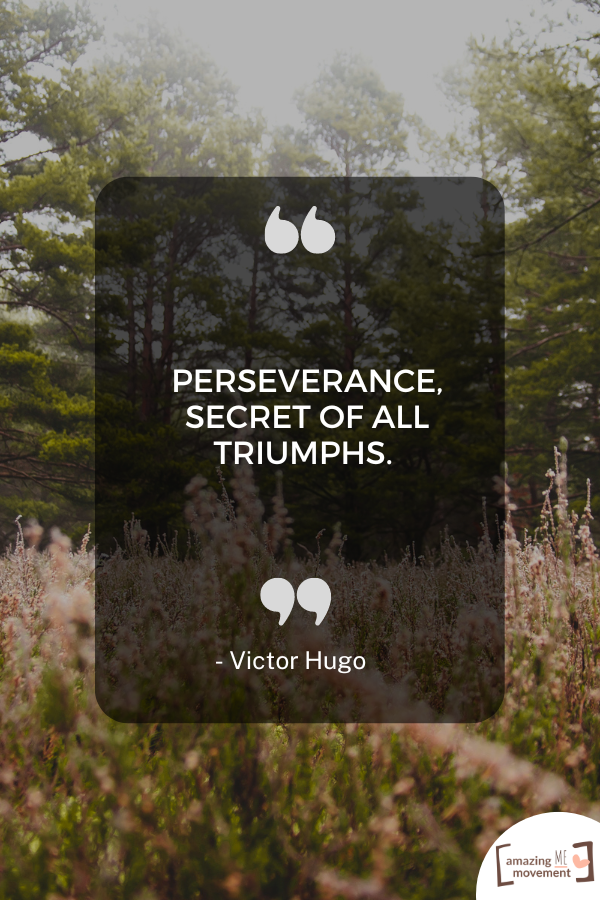 A lovely statement to keep you motivated #Perseverance #Resilience