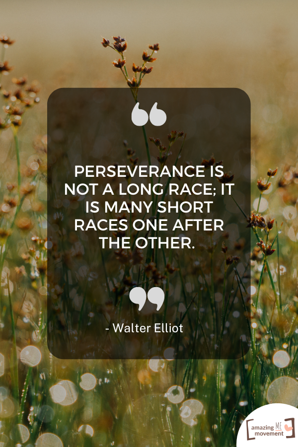 A quote about perseverance #Perseverance #Resilience