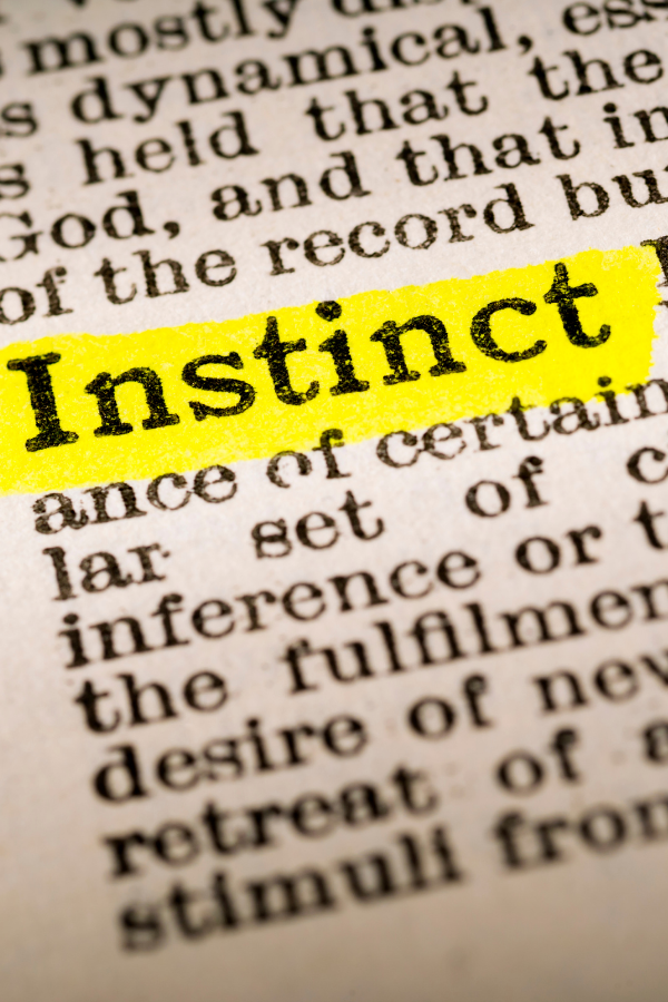 The word "instict" highlighted #PassionForSuccess #SuccessfulLife