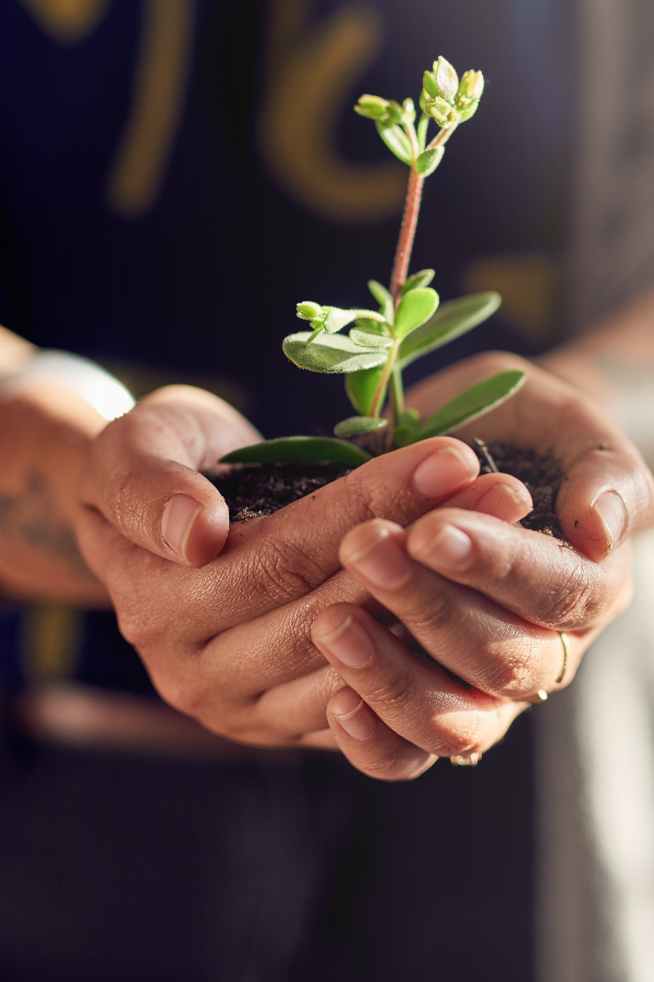 A person holdng a small plant #SelfReflection #ComplicatedLife