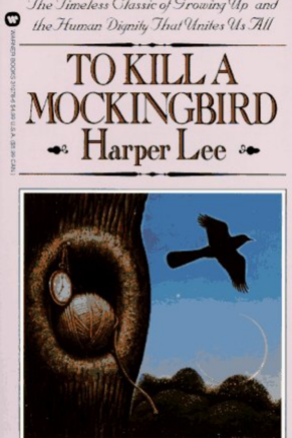 The cover of the literature "To Kill A Mockingbird" #LiteratureAndPoetry #Inspiration