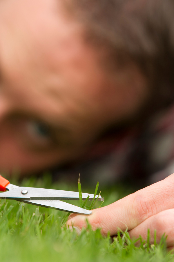 A man cutting grass down to the last centimeter A poster about overcoming perfectionism #ProgressNotPerfection #ImperfectionsAreNormal