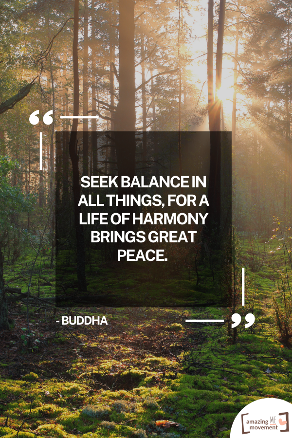 A quote on balance and harmony #BalanceAndHarmony #KeepItBalanced