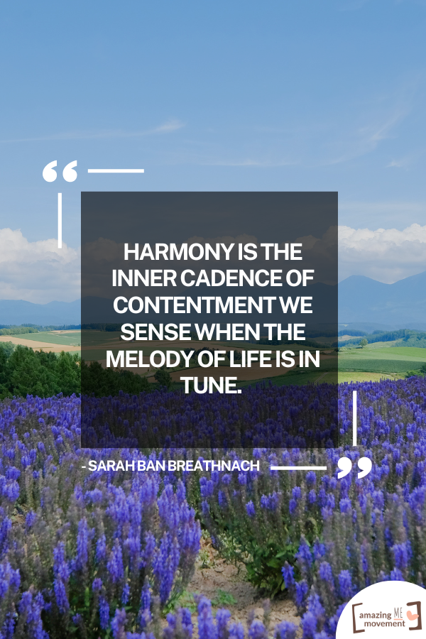 A quote on balance and harmony #BalanceAndHarmony #KeepItBalanced