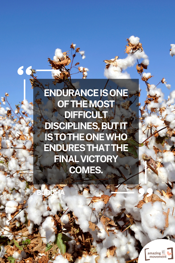 A quote on endurance #QuotesOnEndurance #Endurance