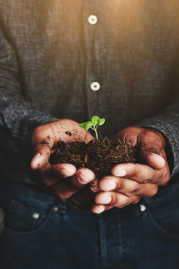 A person holding a plant #EmbraceChange #TransformYourLife