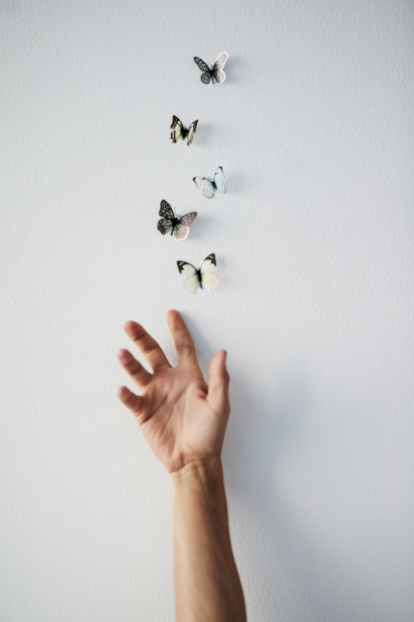 A person letting go of butterflies