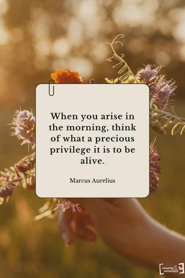 When you arise in the morning, think of what a precious privilege it is to be alive. — Marcus Aurelius