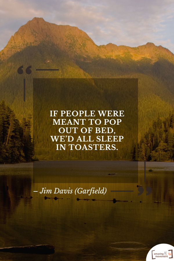 If people were meant to pop out of bed, we’d all sleep in toasters. – Jim Davis (Garfield)