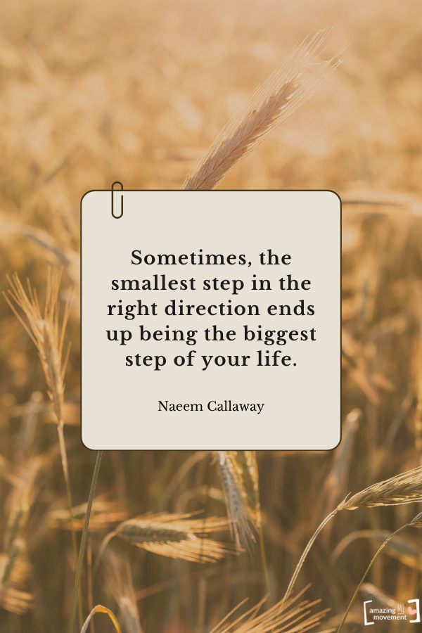 Sometimes, the smallest step in the right direction ends up being the biggest step of your life. — Naeem Callaway
