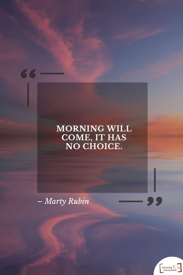 Morning will come, it has no choice. – Marty Rubin