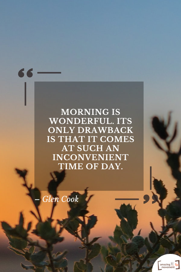 Morning is wonderful. Its only drawback is that it comes at such an inconvenient time of day. – Glen Cook