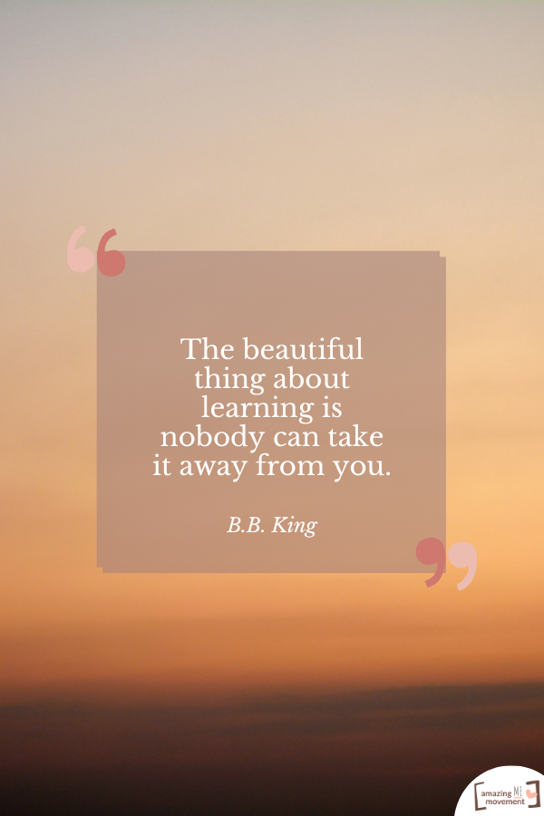 The beautiful thing about learning is nobody can take it away from you. — B.B. King