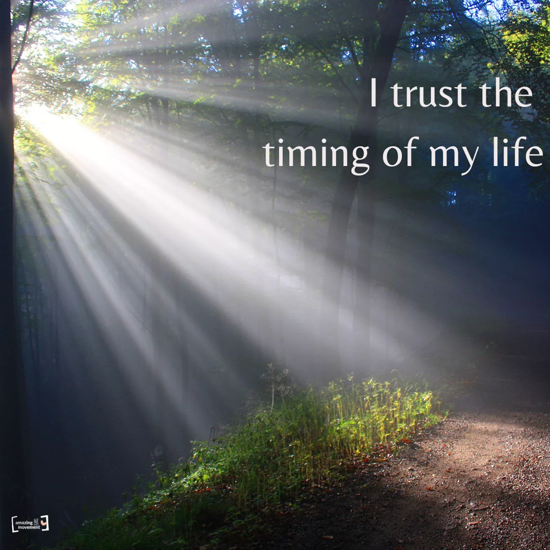 Trust the pauses. Trust the delays. You’re not behind—you’re exactly where you're meant to be. 🕊️ #TrustTheProcess #SpiritualGrowth #AmazingMeMovement