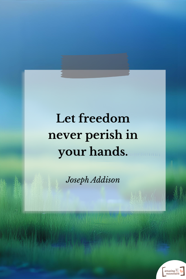 Let freedom never perish in your hands. — Joseph Addison