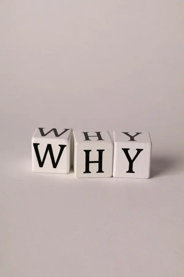 How Creative Tools Help You Share Your Story